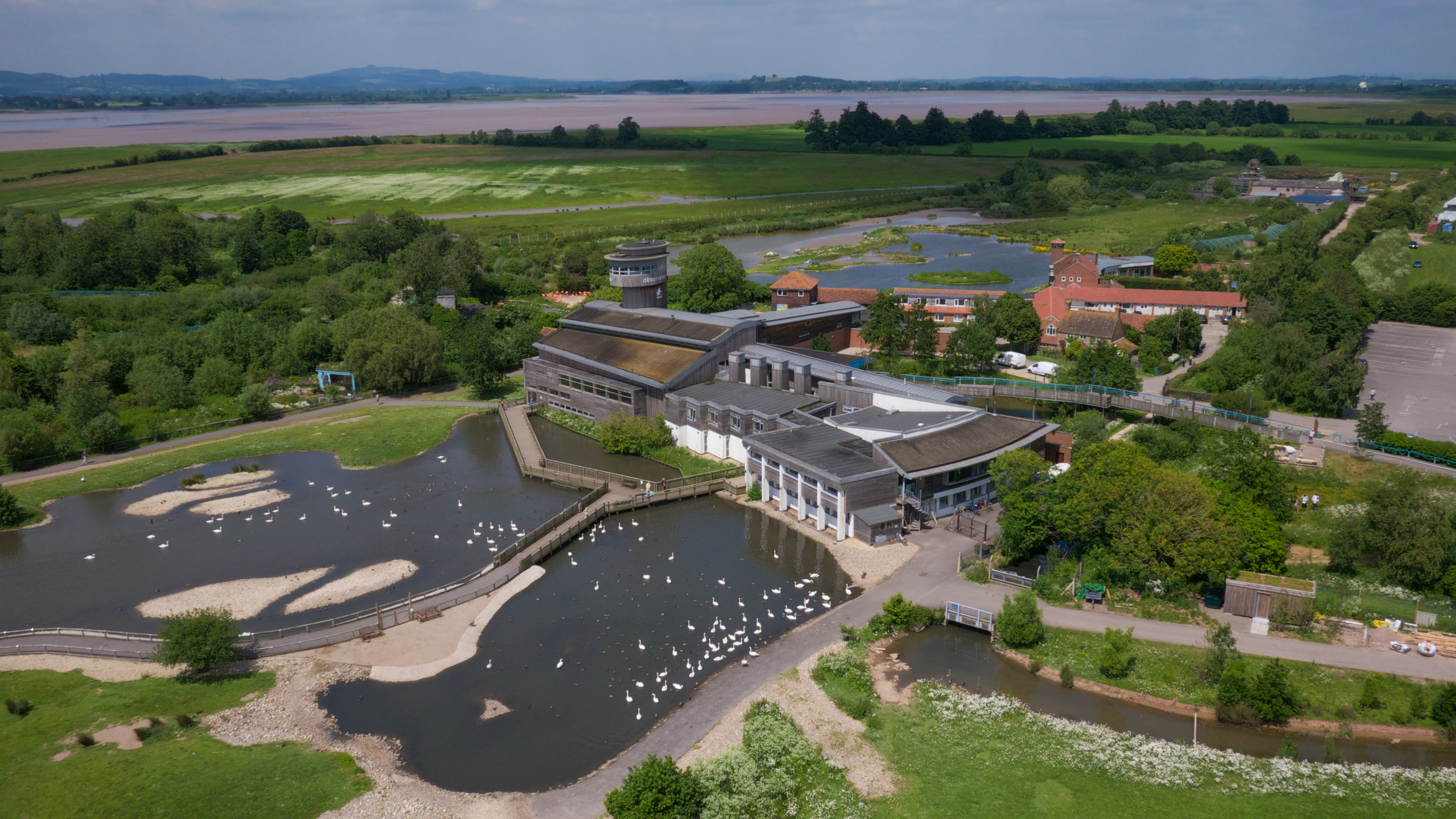 Slimbridge high res