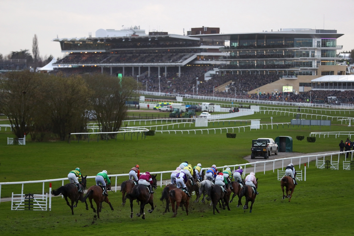 cheltenham horse racing