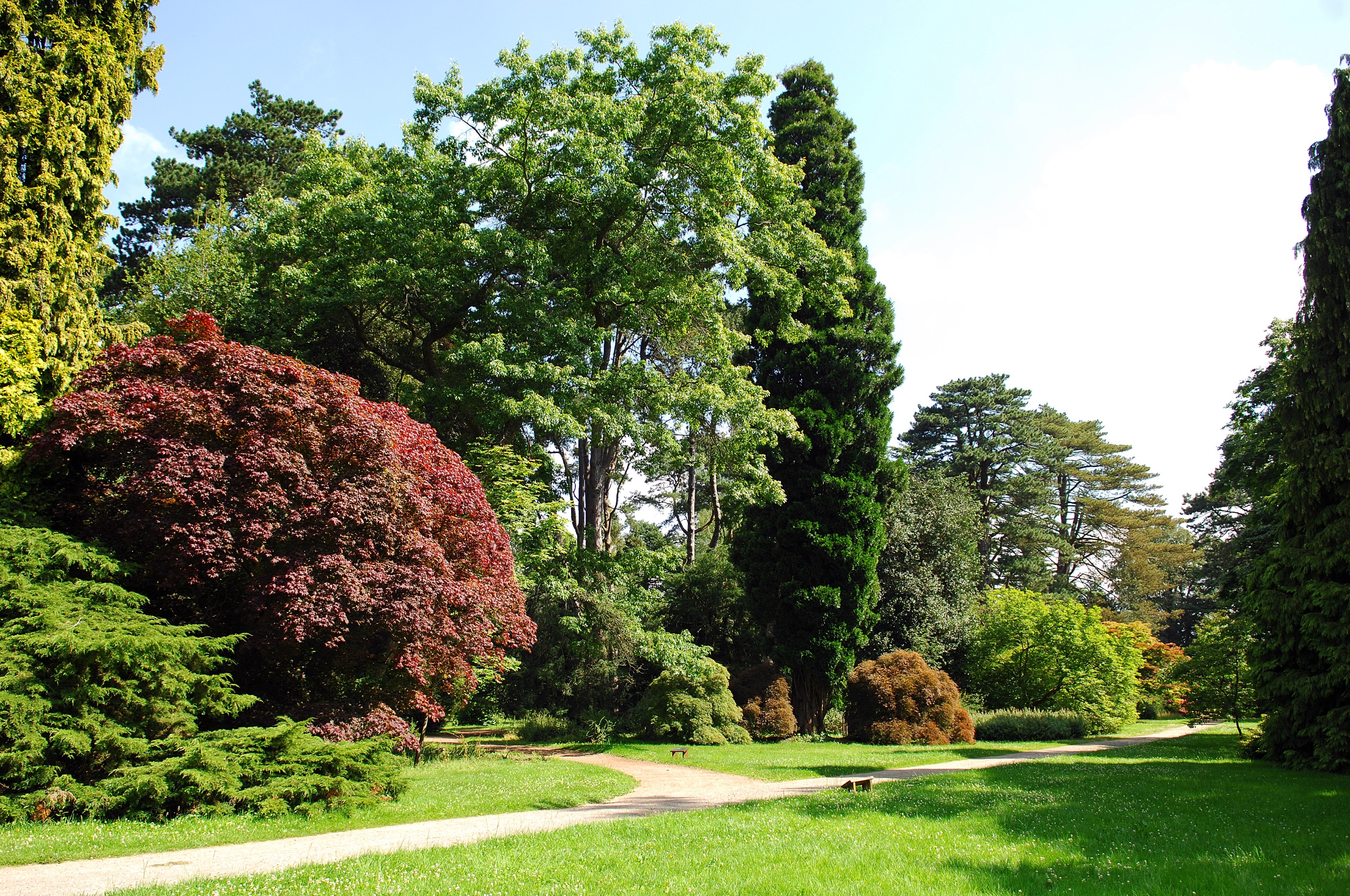 Westonbirt Arboretum 2